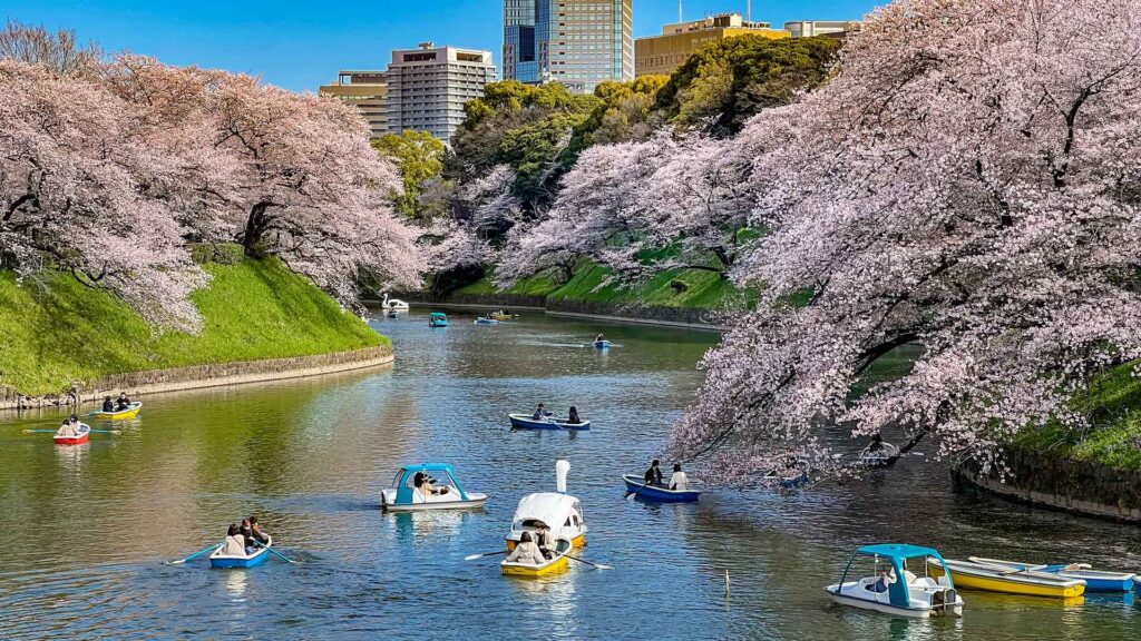 حديقة Chidorigafuchi