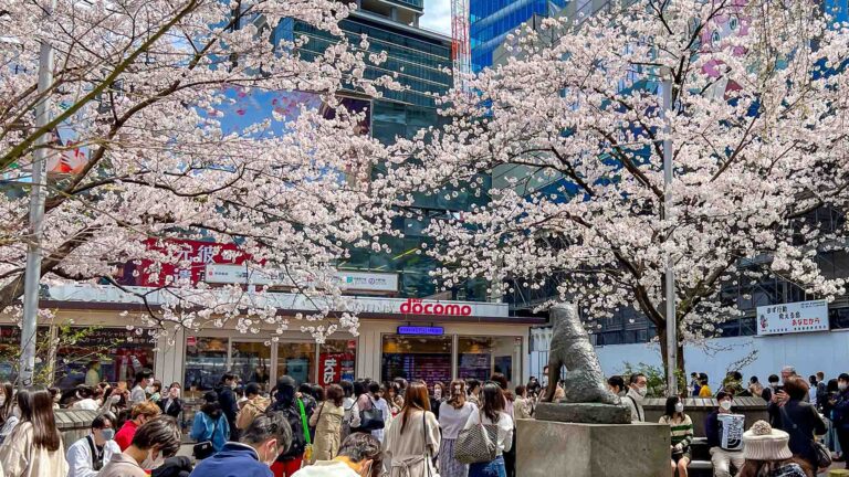 Statua commemorativa di Hachiko