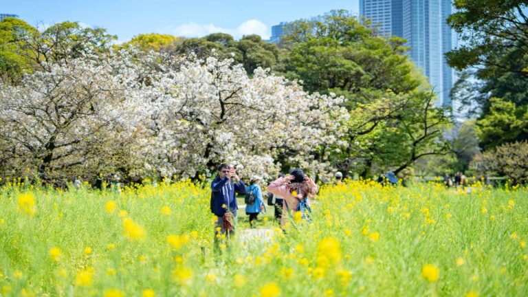 Jardins Hamarikyu