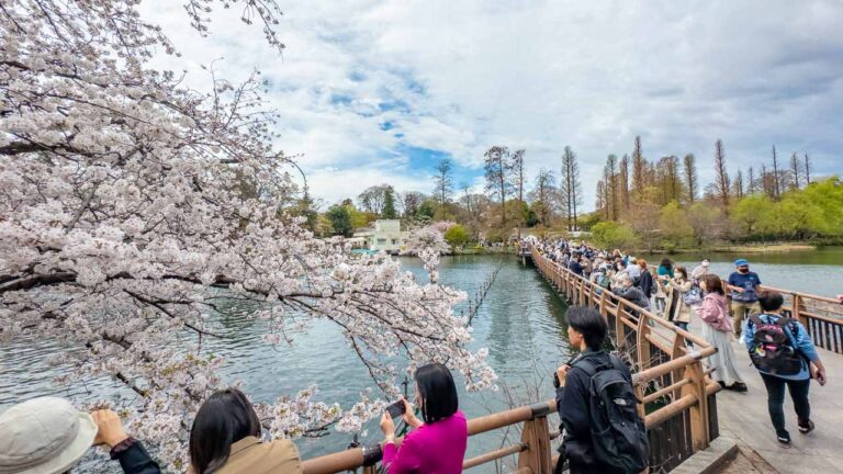 Itinatampok na larawan ng inokashira park